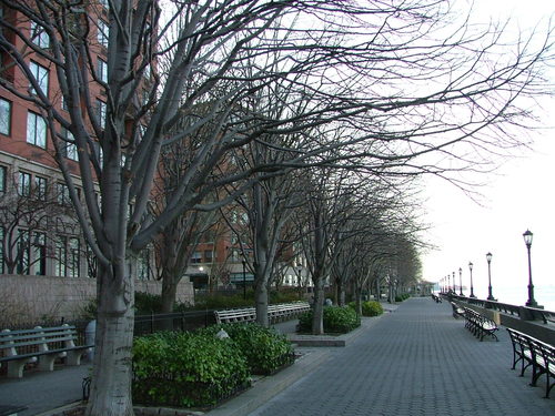 Dscf0843